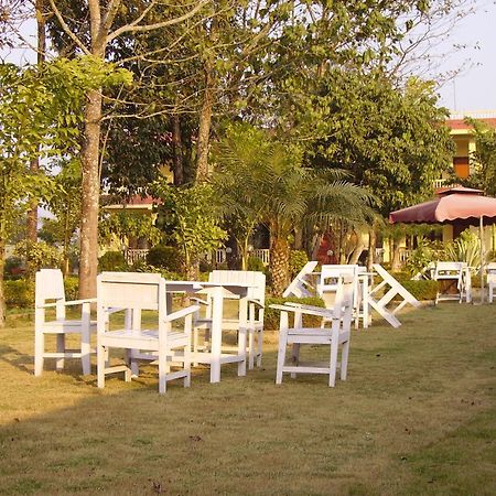 Hotel Rainforest Sauraha Zewnętrze zdjęcie