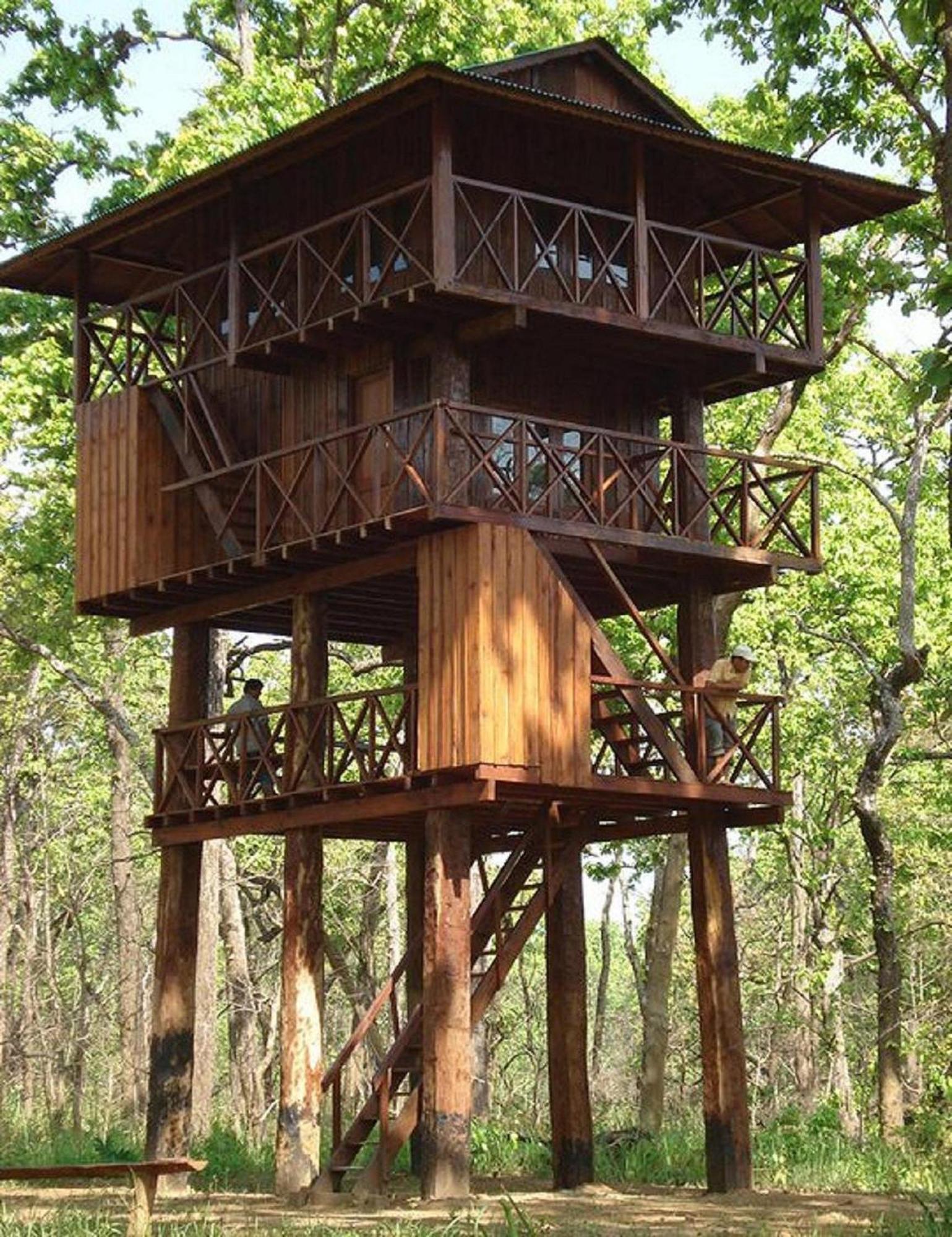 Hotel Rainforest Sauraha Zewnętrze zdjęcie