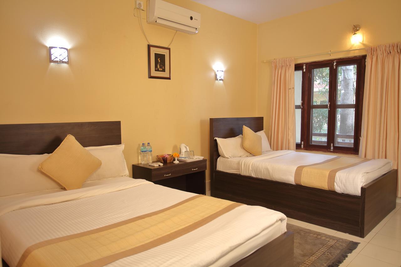 Hotel Rainforest Sauraha Zewnętrze zdjęcie