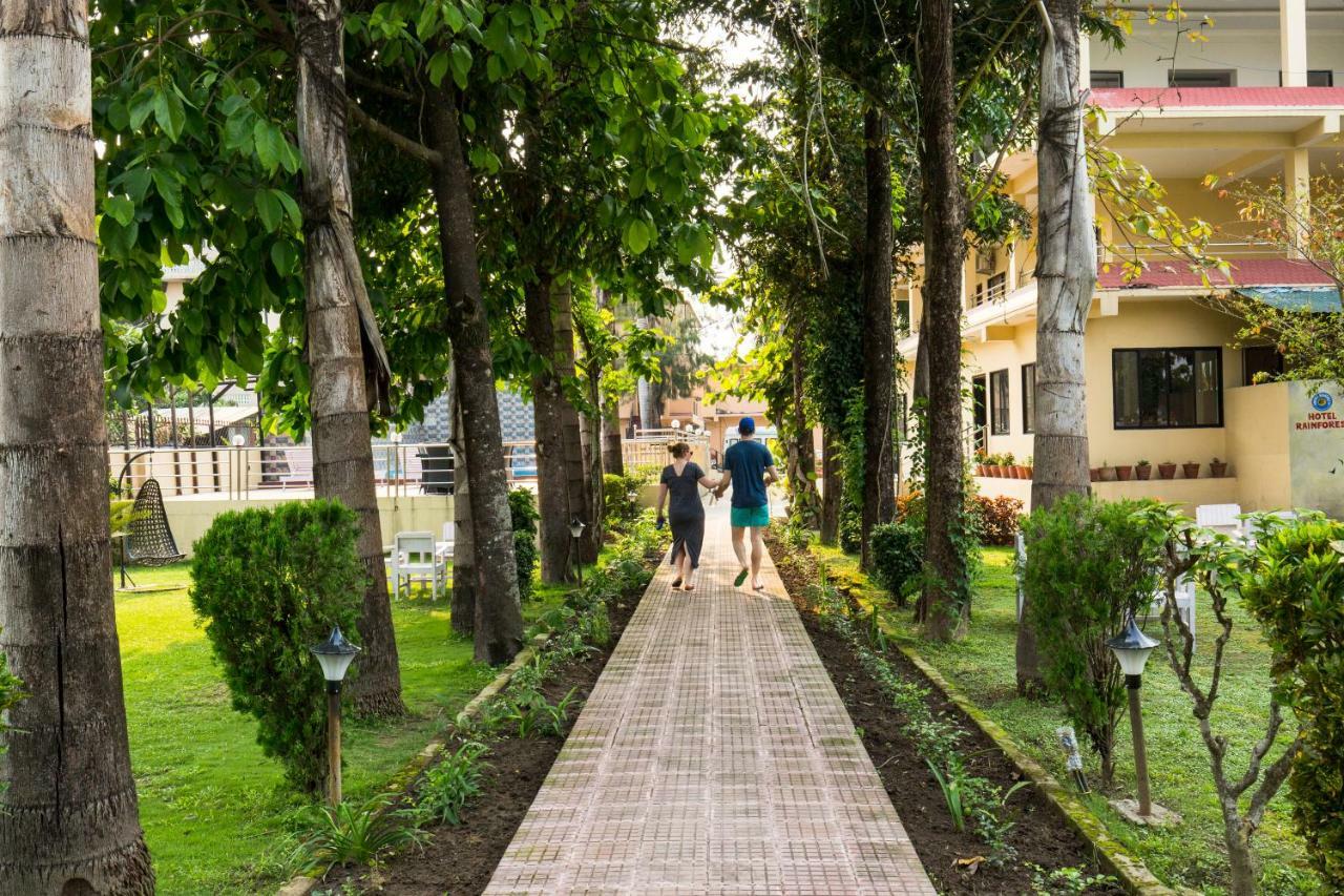 Hotel Rainforest Sauraha Zewnętrze zdjęcie