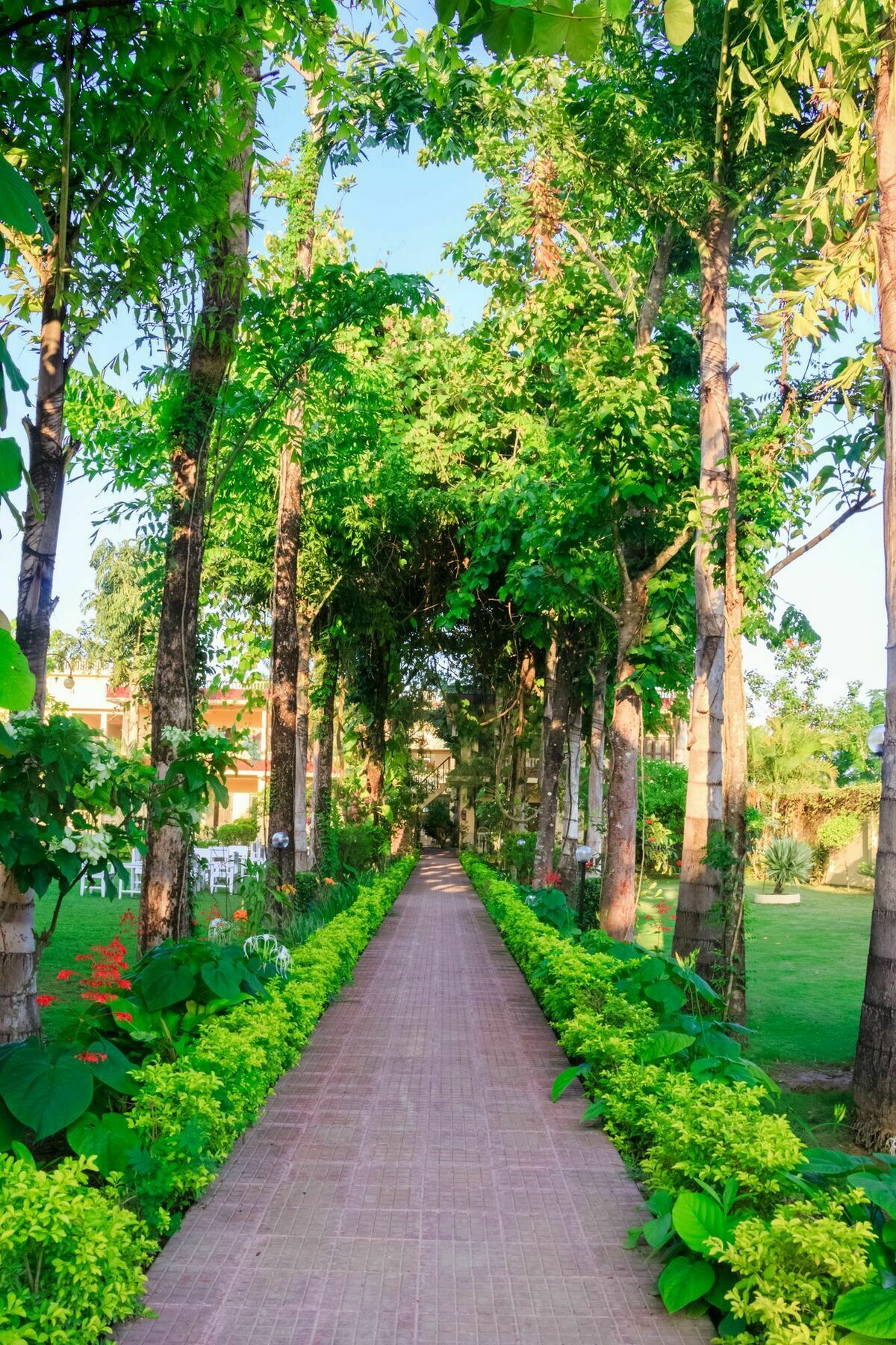 Hotel Rainforest Sauraha Zewnętrze zdjęcie