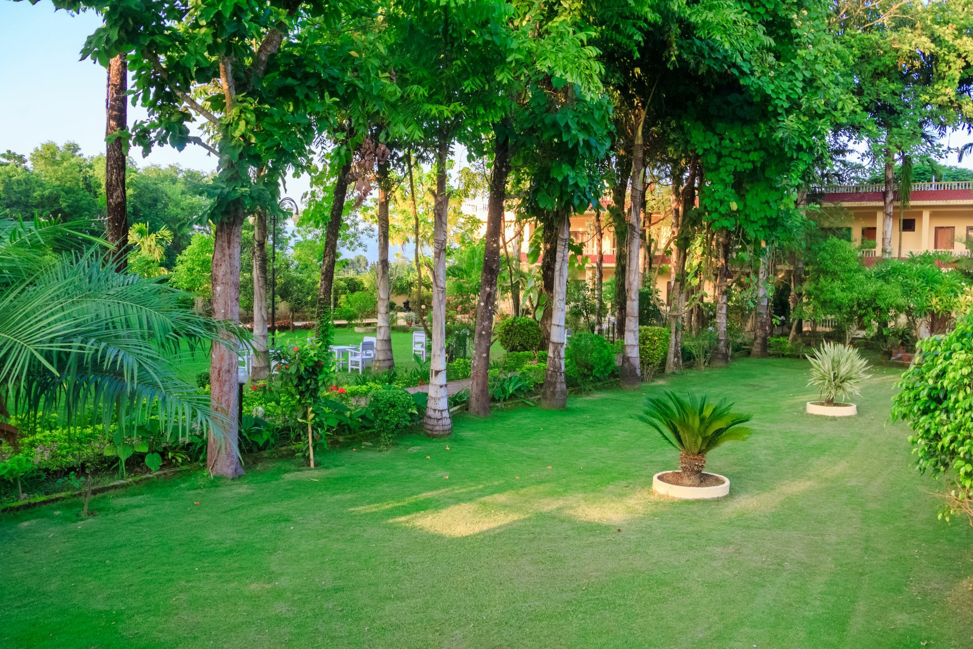 Hotel Rainforest Sauraha Zewnętrze zdjęcie